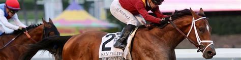 kentucky derby entries|The Complete Kentucky Derby Guide powered by Brisnet.
